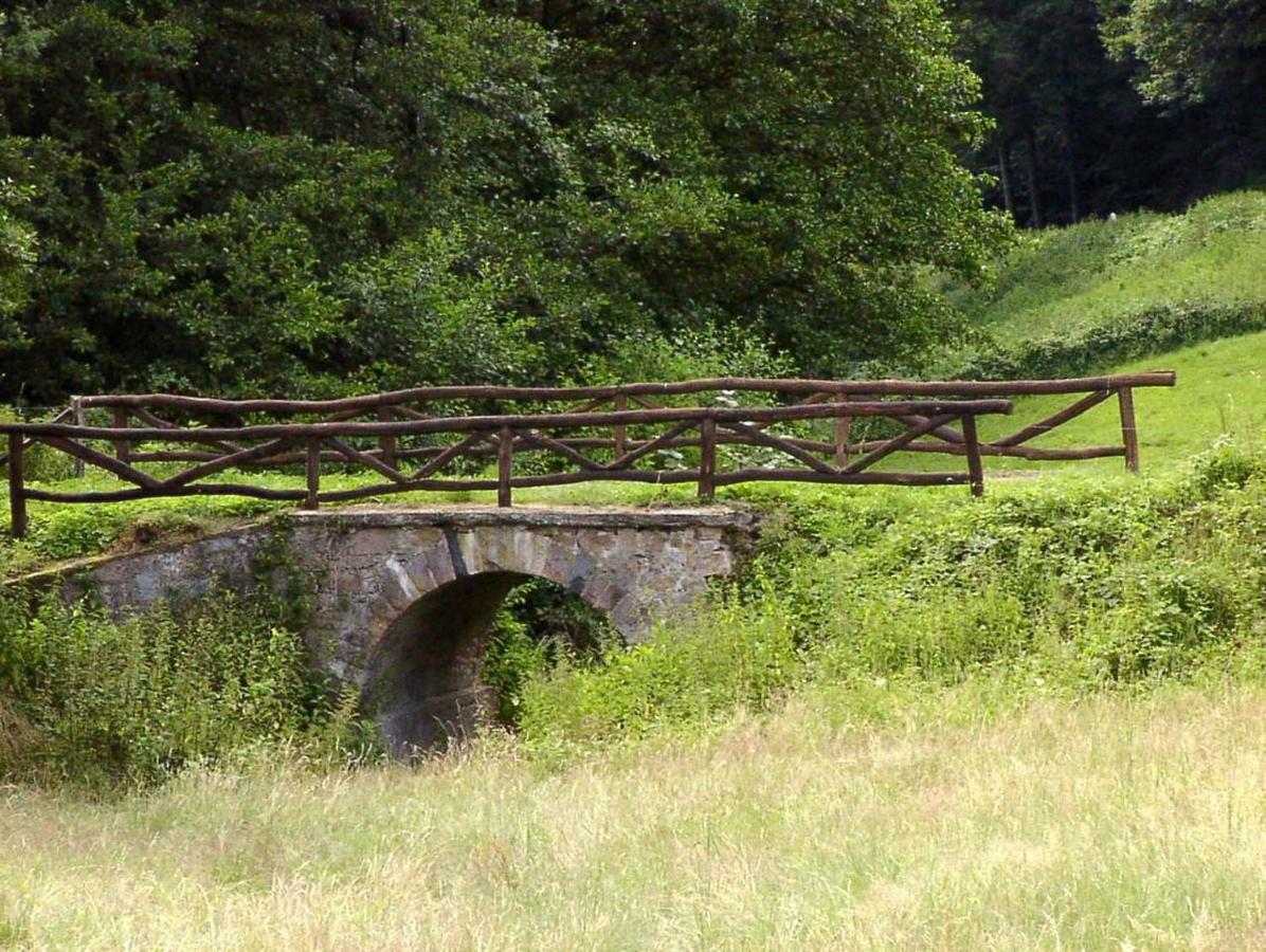 Waldblick Appartement Ober-Hambach Exteriör bild