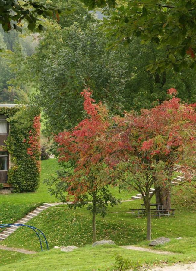 Waldblick Appartement Ober-Hambach Exteriör bild