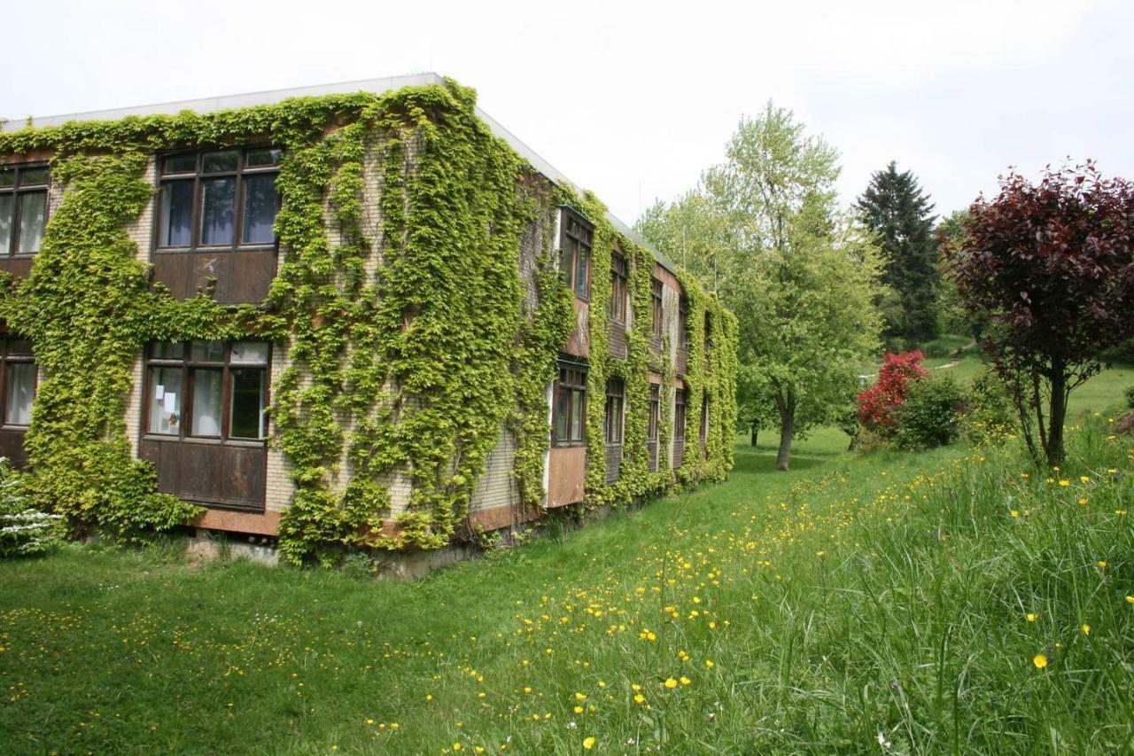 Waldblick Appartement Ober-Hambach Exteriör bild